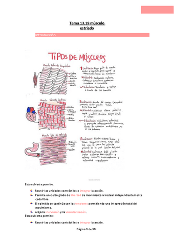 Tema-13.19-musculo-estriado.pdf