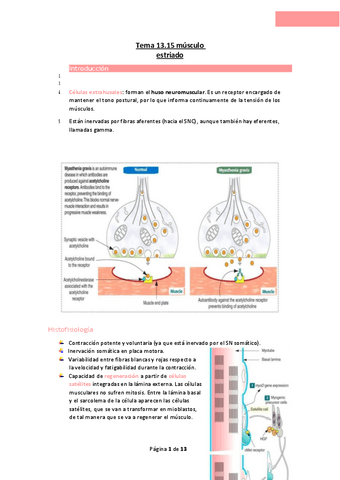 Tema-13.15-musculo-estriado.pdf