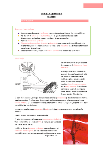 Tema-13.12-musculo-estriado.pdf