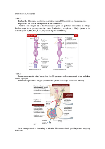 Examenes-FA-2021-22.pdf