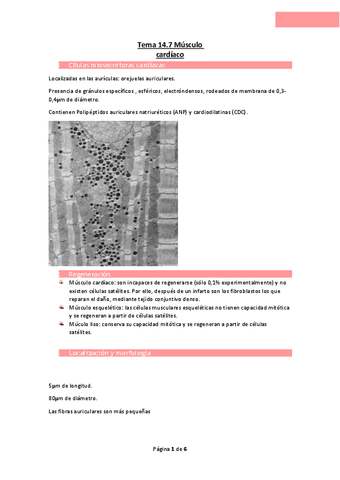 Tema-14.7-Musculo-cardiaco.pdf