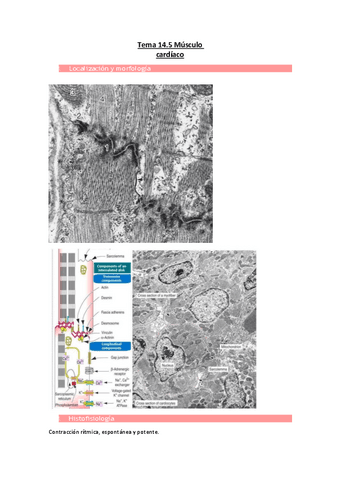 Tema-14.5-Musculo-cardiaco.pdf