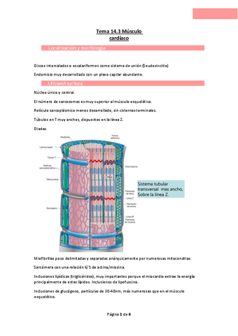 Tema-14.3-Musculo-cardiaco.pdf