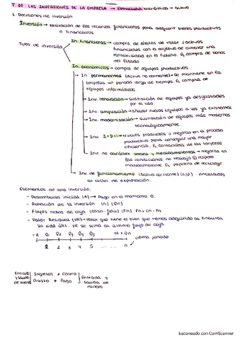 Tema-10-La-inversiones-de-la-empresa.pdf