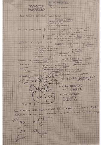 aparato-circulatorio.pdf