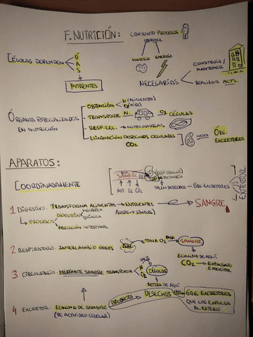 IMG20230226203150.pdf