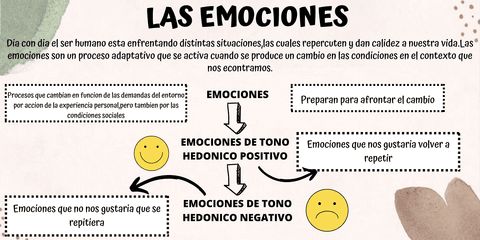 LAS-EMOCIONES.pdf