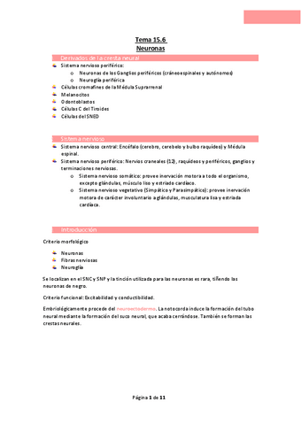 Tema-15.6-Neuronas.pdf