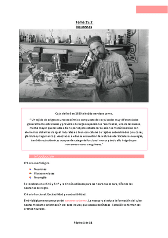 Tema-15.2-Neuronas.pdf