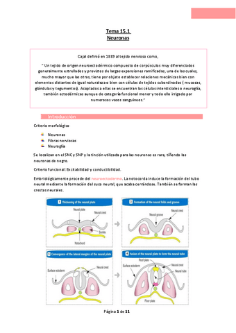 Tema-15.1-Neuronas.pdf
