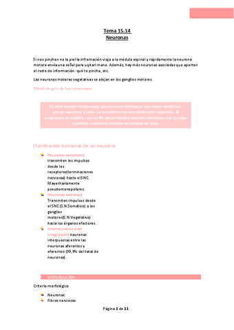 Tema-15.14-Neuronas.pdf