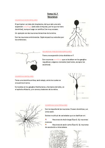 Tema-15.11-Neuronas.pdf