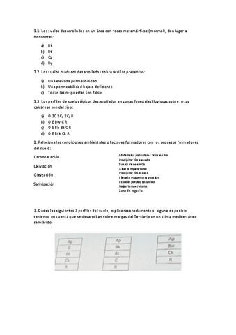 Examen-geologia.pdf