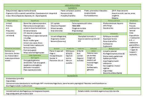 taula-clorofits.pdf