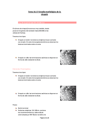 Tema-16.pdf