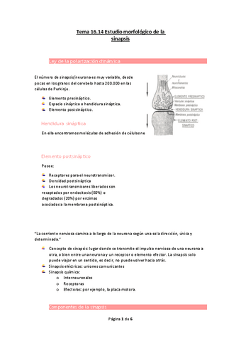 Tema-16.pdf