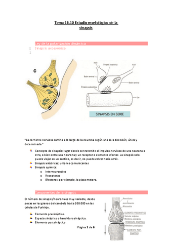 Tema-16.pdf