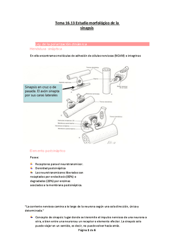 Tema-16.pdf