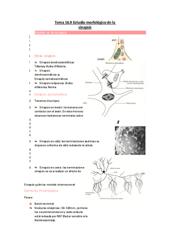 Tema-16.pdf