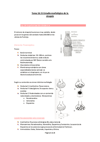 Tema-16.pdf