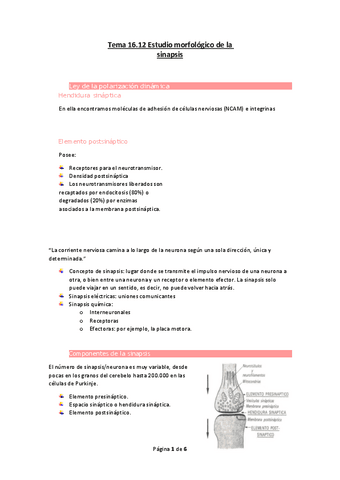 Tema-16.pdf