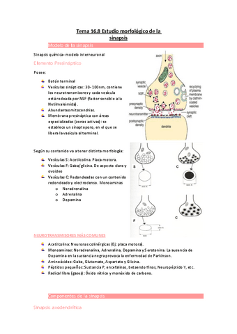 Tema-16.pdf
