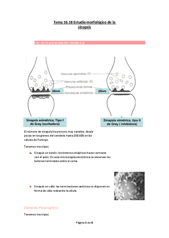 Tema-16.pdf