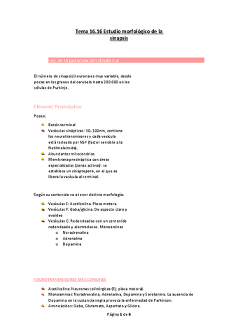 Tema-16.pdf