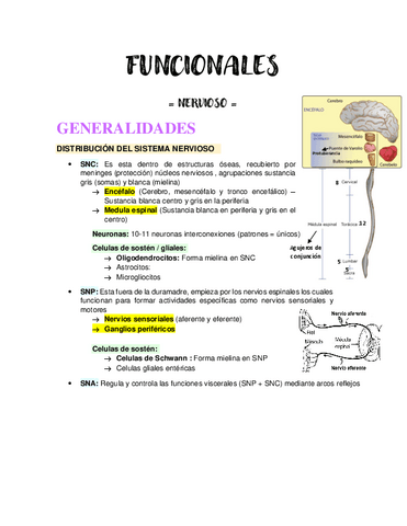 NERVIOSO.pdf