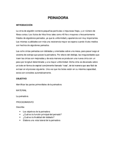 PEINADORA.pdf
