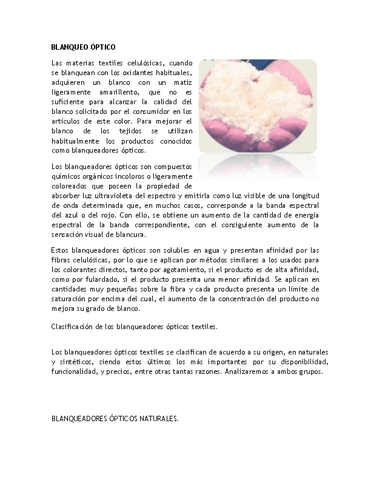 BLANQUEO-OPTICO.pdf