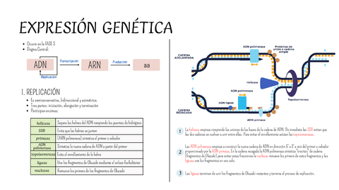 Sem9-PB-I.pdf