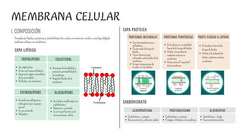 Sem10-PB-I.pdf