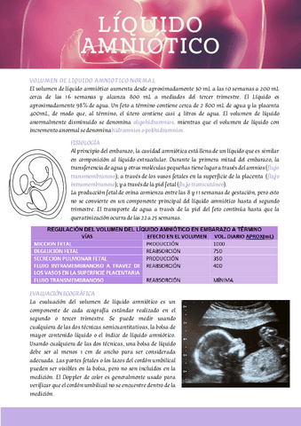 LIQUIDO-AMNIOTICO.pdf