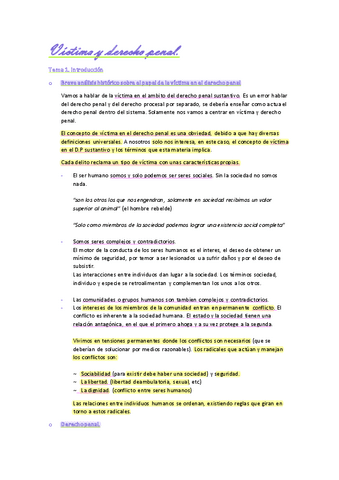 Victima-y-derecho-penal.pdf