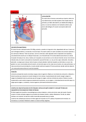 PAC-de-desarrollo.pdf