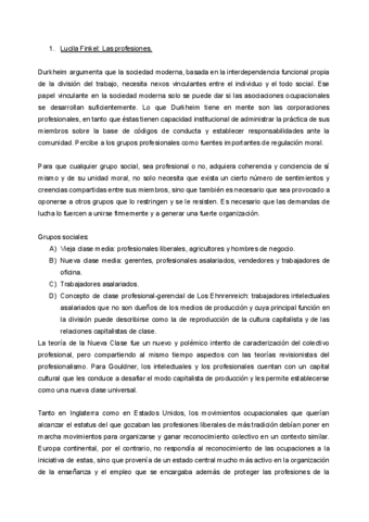 3.-LUCILA-FINKEL.pdf