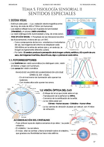 Tema-5-Fisiologia-Sensorial-I.pdf