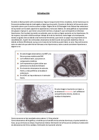 Introduccion-al-tema-17.pdf