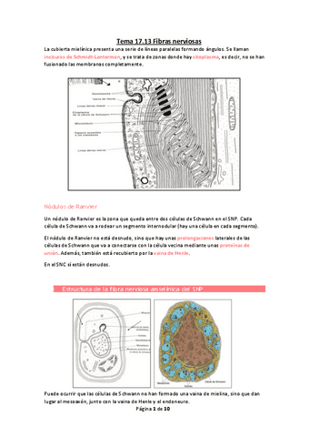 Tema-17.pdf