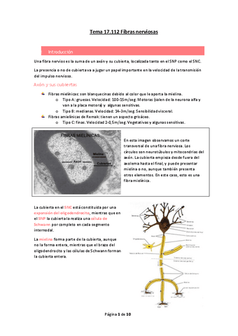 Tema-17.pdf