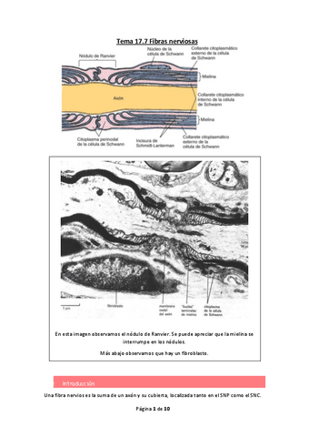 Tema-17.pdf