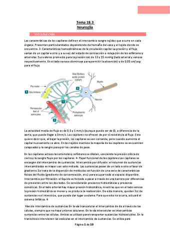 Tema-18.pdf
