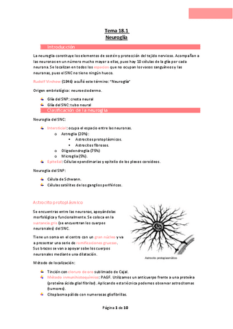 Tema-18.pdf