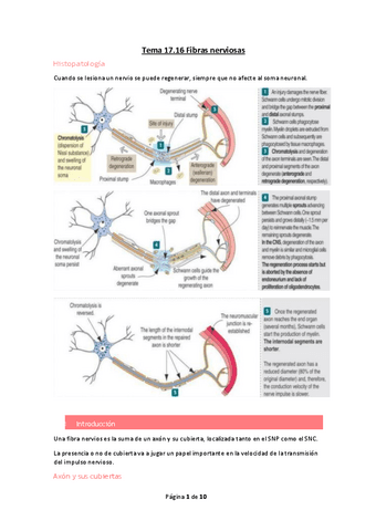 Tema-17.pdf