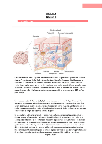 Tema-18.pdf