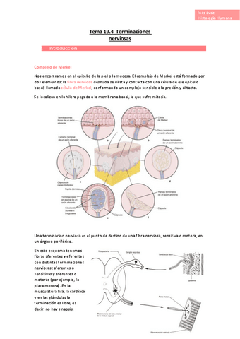 Tema-19.pdf