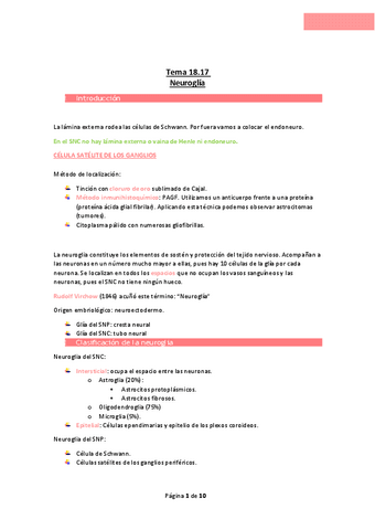 Tema-18.pdf