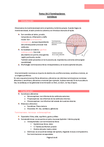 Tema-19.pdf