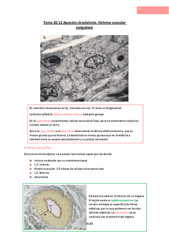 Tema-20.pdf